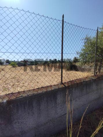 Terreno Edificabile in vendita a Motta Sant'Anastasia - Foto 6