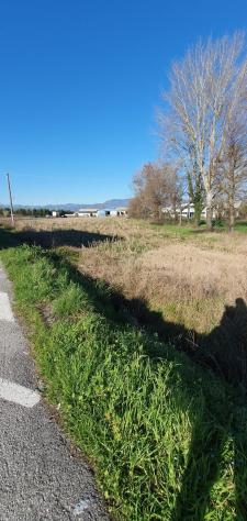 Terreno ed. ind.le/artig.le in vendita a Carraia - Capannori 6500 mq Rif: 1330008 - Foto 4