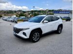 Hyundai Tucson 1.6 CRDI XLINE 2023 116CV