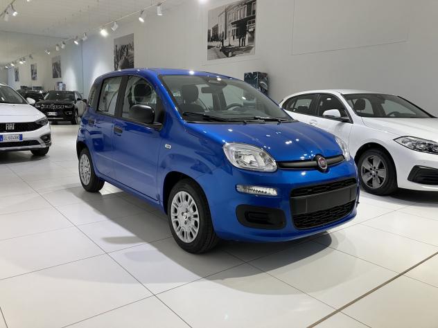 FIAT Panda 1.0 FireFly 70cv S&S Hybrid Icon vari colori - Foto 3