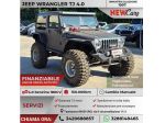 Jeep Wrangler 4.0 cat Hard top (EU)