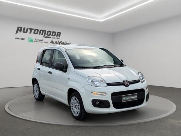 FIAT Panda 1.2bz van 4 posti rif. 23448602 - Foto 3