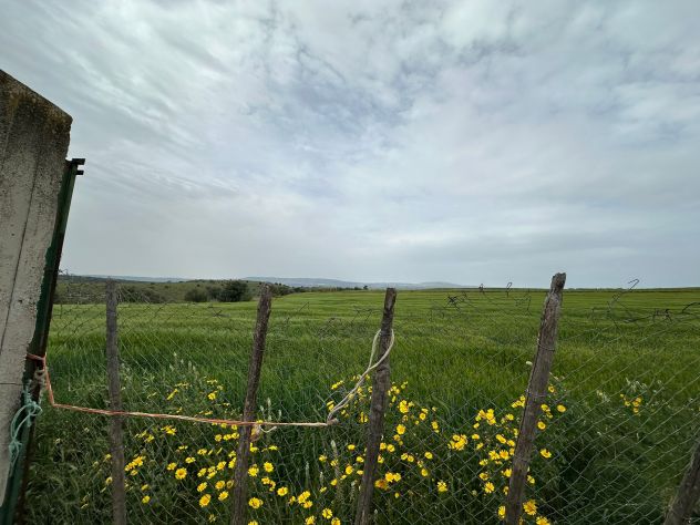 TERRENO SEMINATIVO RECINTATO 30.000 MQ. - 60.000 EURO - Foto 2