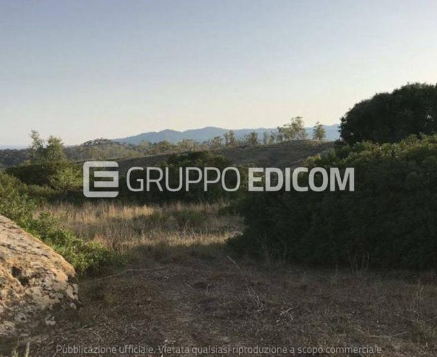 Terreno di 9530 mq in vendita a Bianco - Rif. 4546626