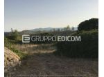 Terreno di 9530 mq  in vendita a Bianco - Rif. 4546626