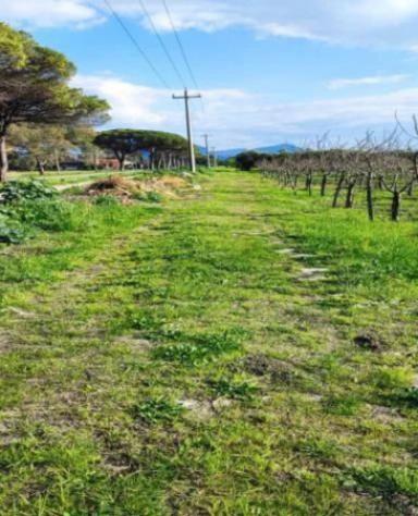 Immobile in asta di 3790 m² in vendita a Capaccio Paestum - Foto 2