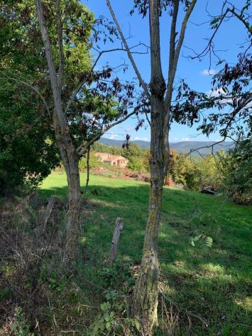 " Il CASALE che VORREI " - Foto 8