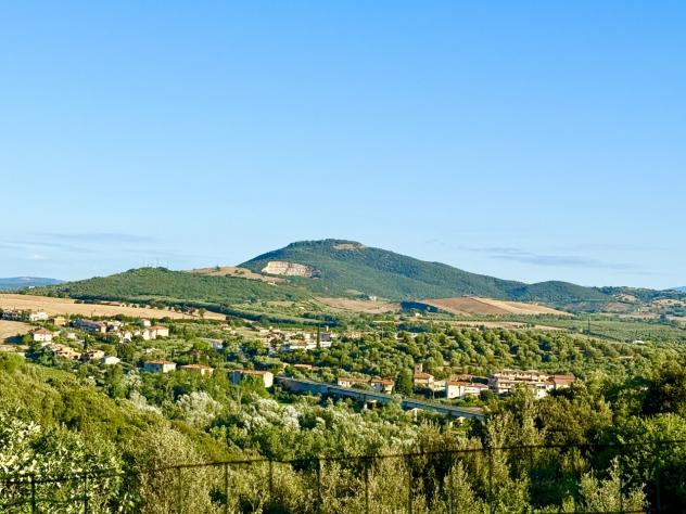 TERRENO AGRICOLO di 3 vani e di 142179 mq (GROSSETO - Istia d'Ombrone) rif. TE.41 - Foto 18