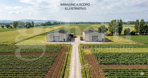 Terreno Residenziale - Chioggia . Rif.: 3930VRG