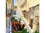 Bed & Breakfast Le Giare di Raffiotta Rosalia
