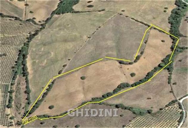 TERRENO AGRICOLO di 1 vani e di 56000 mq (GROSSETO) rif. 2259.159M - Foto 2
