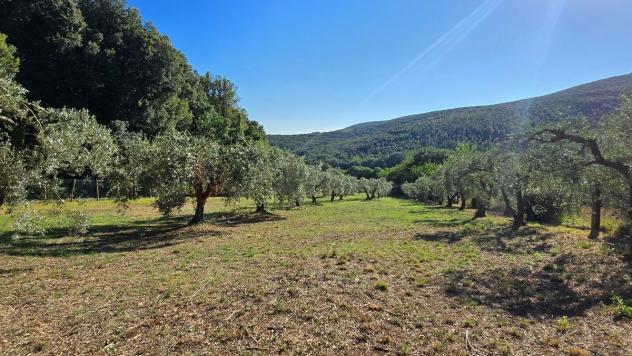 Rustico in vendita a Lugnano in Teverina - Foto 3