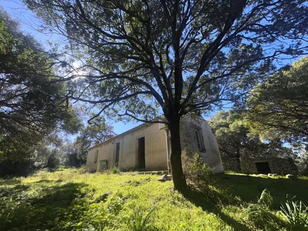 Casale in vendita a Luogosanto 78 mq Rif: 1383998 - Foto 4