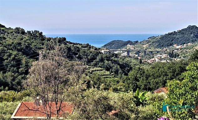 Vallebona VENDESI RUSTICO CON GIARDINO PRIVATO - Foto 6
