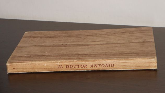 IL DOTTOR ANTONIO, G. D. RUFFINI, l'ulivo N. 1, BIBLIOTECA SALANI 1950. - Foto 4