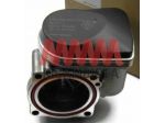 8200110994 Renault Clio 2.0 corpo farfallato