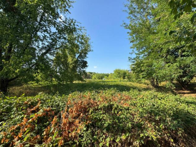 Terreno di 4200 m² in vendita a Desio - Foto 14