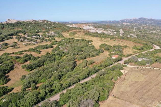 Terreno agricolo in vendita a Luogosanto 45000 mq Rif: 1356628 - Foto 10