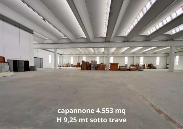 2430 - Capannone in Affitto 5.150 mq a Fonte (TV) Rif. 2430 - Foto 6