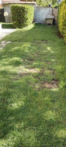 Appartamento in vendita a Massa 125 mq Rif: 1266154 - Foto 10