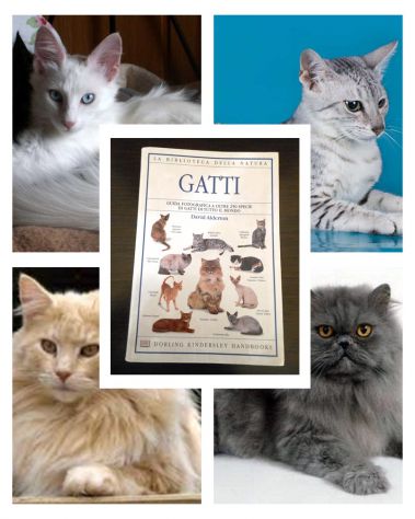 GATTI, David Alderton, LA BIBLIOTECA DELLA NATURA N. 4, 2003.