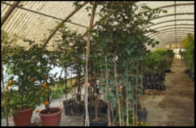 Immobile in asta di 900 m² con più di 5 locali in vendita a Gioia del Colle - Foto 8