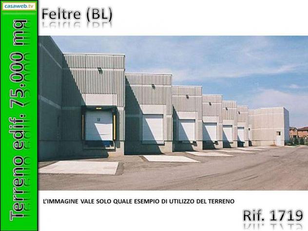 1719 - Terreno Edif. 75.000 mq a Feltre (BL) Rif. 1719 - Foto 7