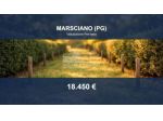 Immobile in asta di 2220 m² in vendita a Marsciano