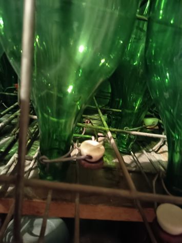 Bottiglioni in vetro verde o trasparente da 2 lt. con macchinetta di chiusura - Foto 2