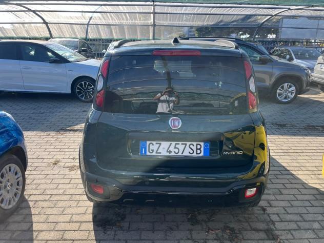 FIAT Panda Pandina III 2024 Cross - Pandina Cross 1.0 firefly hybrid s&s 70cv - Foto 10
