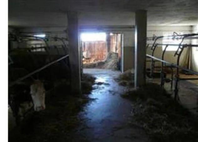 Immobile in asta di 702 m² in vendita a Ronchi Valsugana - Foto 13