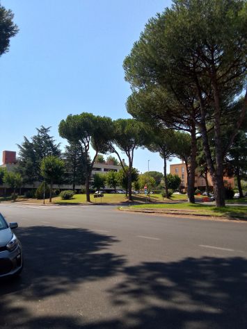 AFFITTO STANZA ROMA TORVERGATA UNIVERSITA' PTV - Foto 6
