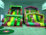 noleggio scivoli  gonfiabili animazioni per bambini a lecco 3478497587 - Foto 2