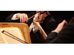 Violinista a Siena
