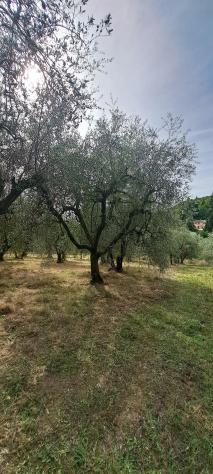 Terreno agricolo in vendita a Castelfranco di Sotto 5340 mq Rif: 1452784 - Foto 10