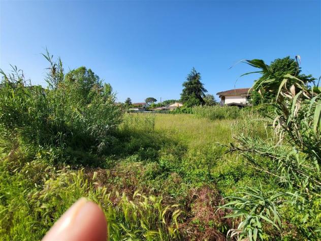 Terreno agricolo in vendita a Ronchi - Massa 2300 mq Rif: 1048501 - Foto 3