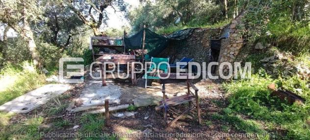 Terreno in vendita a Massa - Rif. 3560037