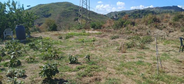 RUSTICO di 1 vani e di 1000 mq (MESSINA) rif. 3VS17974 - Foto 11
