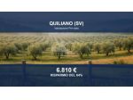 Immobile in asta di 11627 m² in vendita a Quiliano