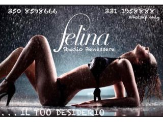 *TANTRA. V.I.P.  FELINA*. . 75 minuti di puro piacere per Mente e Corpo