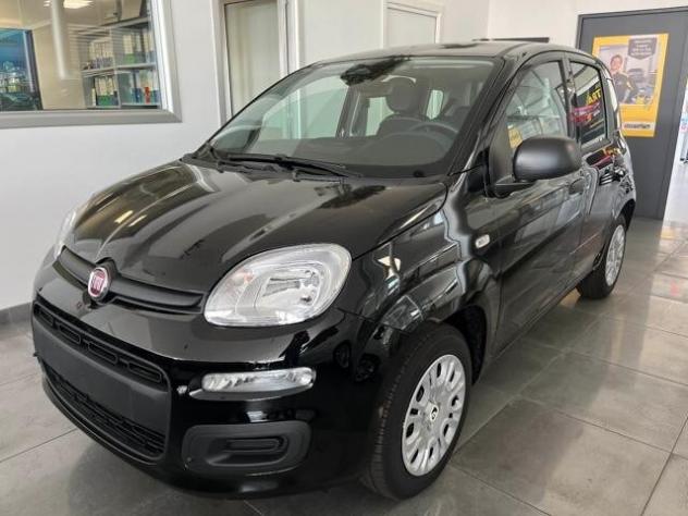 FIAT Panda 3ª serie Panda 1.0 FireFly S&S Hybrid