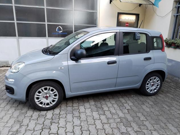 Fiat Panda 1.0 FireFly S&S Hybrid - Foto 7