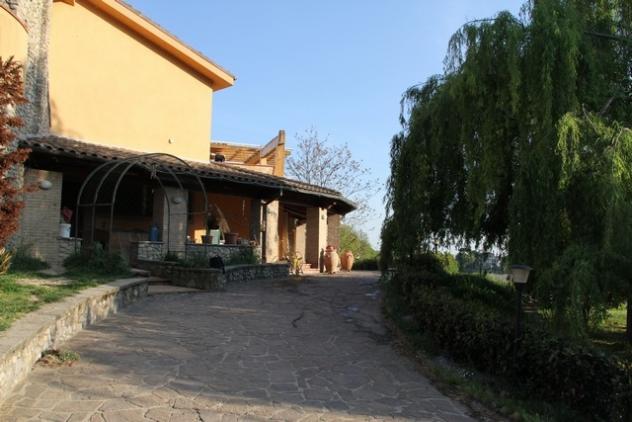 Ficulle - Vendesi particolare villa con giardino, anni 2000 nel comune di Ficulle. - Foto 2