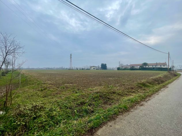 Terreno agricolo - Foto 5