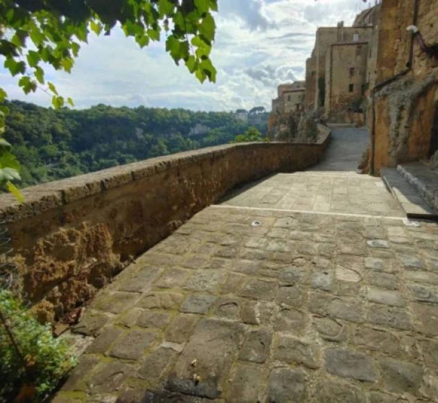 Immobile in asta di 125 m² in vendita a Pitigliano - Foto 6