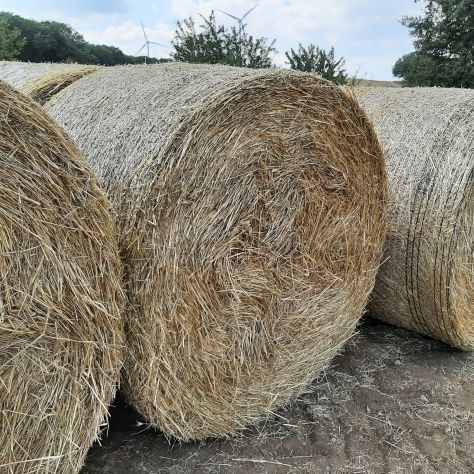 FIENO E PAGLIA IN ROTOBALLE - Foto 4