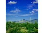 B&B Le Casine di Firenze