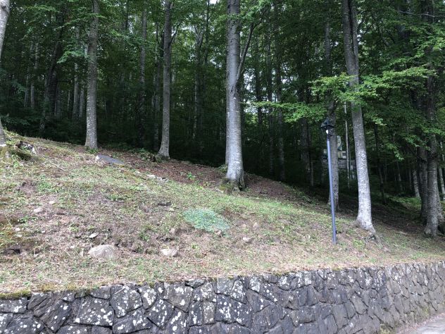 Abetone Cutigliano ( Pt ) , loc. Piandinovello affittasi grazioso appartamento - Foto 10