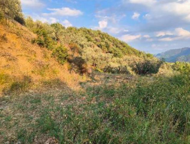 Immobile in asta di 2 m² in vendita a Gallicchio - Foto 10