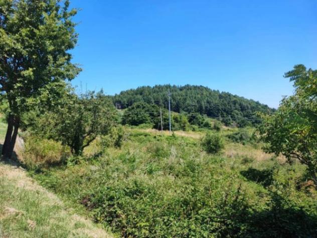 Immobile in asta di 10550 m² in vendita a Pietrabbondante - Foto 4